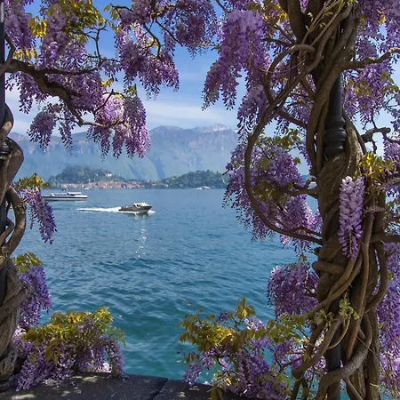 Pianello Bellavista - Happy Daire *